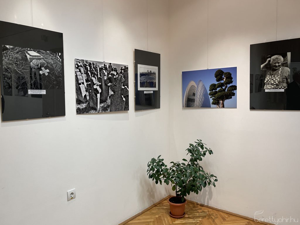 Tóth István jubileumi fotóliállítása 21